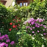 Schweizerblick - Denkmalgeschuetzes Haus In Ruhiger Lage - Grosser Garten Und Mit Charme Eingerichtet - Ideal Fuer Familien, Paare & Hund Apartment *