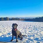 Schweizerblick - Denkmalgeschuetzes Haus In Ruhiger Lage - Grosser Garten Und Mit Charme Eingerichtet - Ideal Fuer Familien, Paare & Hund * Hanner