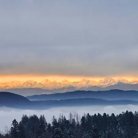 Апартаменты Schweizerblick