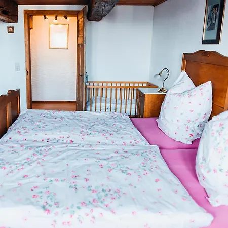 Schweizerblick - Denkmalgeschuetzes Haus In Ruhiger Lage - Grosser Garten Und Mit Charme Eingerichtet - Ideal Fuer Familien Mit Kleinen Kindern, Familien Mit 1-2 Hunden Hänner
