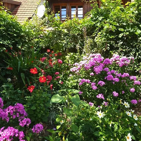 Schweizerblick - Denkmalgeschuetzes Haus In Ruhiger Lage - Grosser Garten Und Mit Charme Eingerichtet - Ideal Fuer Familien Mit Kleinen Kindern, Familien Mit 1-2 Hunden Apartmán *