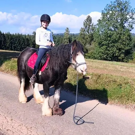 Schweizerblick * Hanner