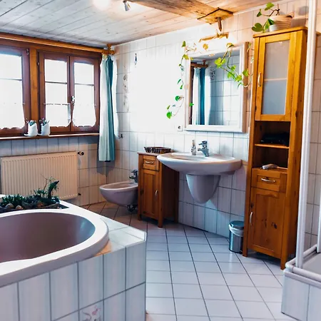 Schweizerblick * Hanner