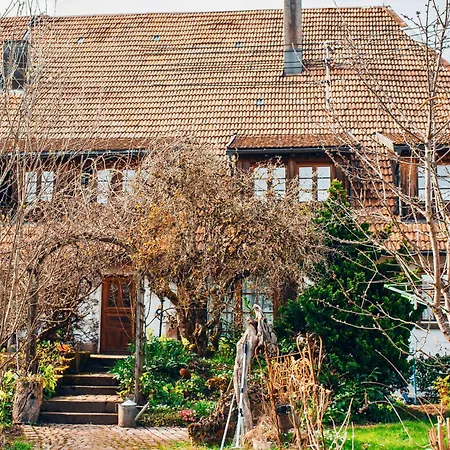 Apartmán Schweizerblick - Denkmalgeschuetzes Haus In Ruhiger Lage - Grosser Garten Und Mit Charme Eingerichtet - Ideal Fuer Familien Mit Kleinen Kindern, Familien Mit 1-2 Hunden *