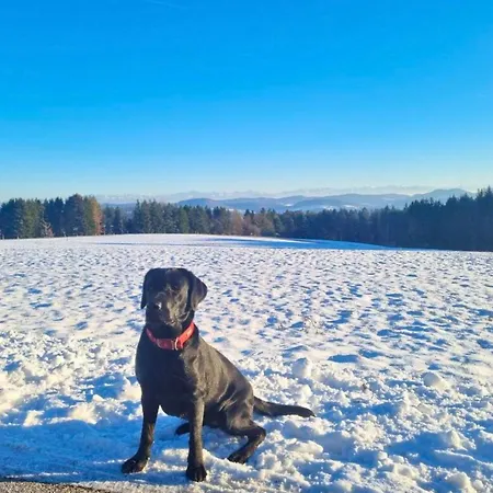 Schweizerblick * Hanner