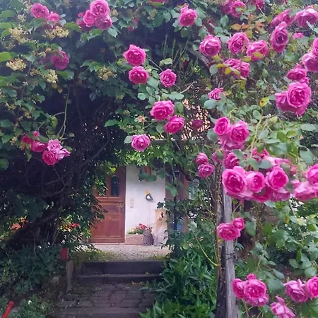 Schweizerblick - Denkmalgeschuetzes Haus In Ruhiger Lage - Grosser Garten Und Mit Charme Eingerichtet - Ideal Fuer Familien Mit Kleinen Kindern, Familien Mit 1-2 Hunden Hänner