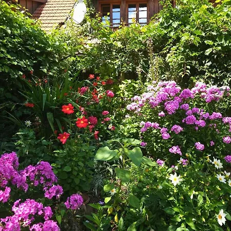 Schweizerblick - Denkmalgeschuetzes Haus In Ruhiger Lage - Grosser Garten Und Mit Charme Eingerichtet - Ideal Fuer Familien Mit Kleinen Kindern, Familien Mit 1-2 Hunden Apartmán