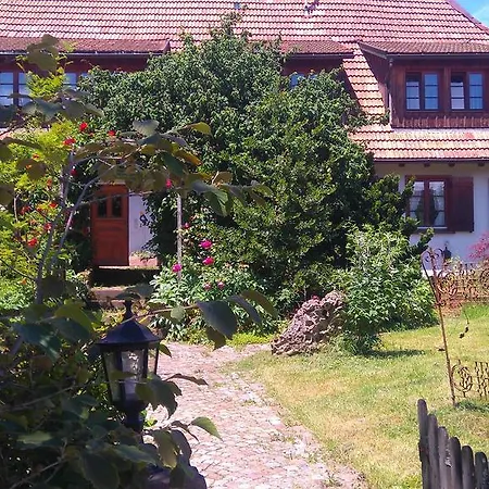 公寓 Schweizerblick *