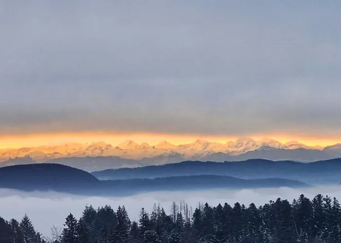 Appartamento Schweizerblick