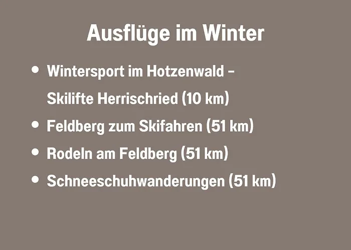 Schweizerblick Appartamento *