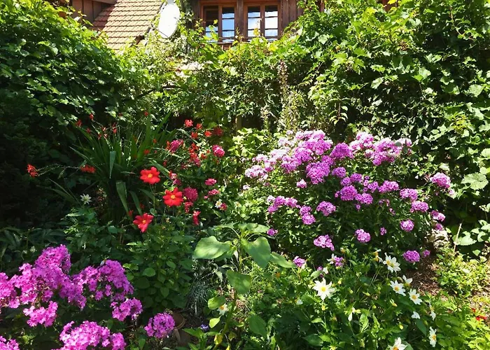 Schweizerblick Appartamento *