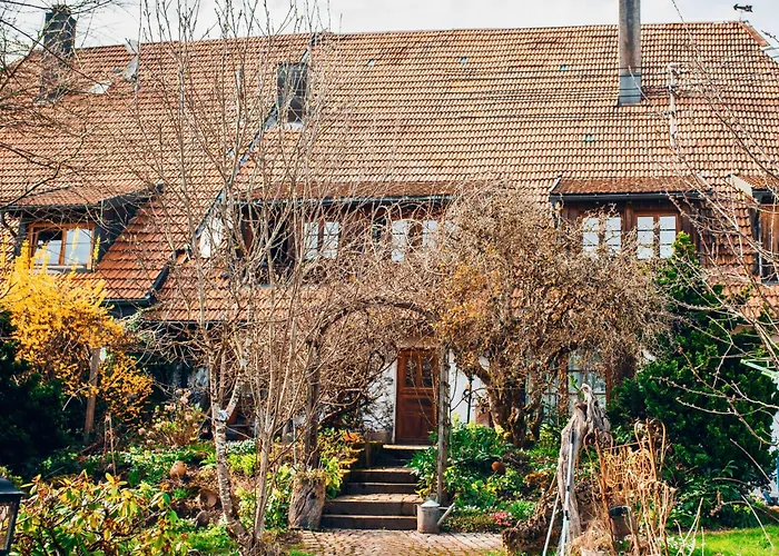 Schweizerblick Appartamento *