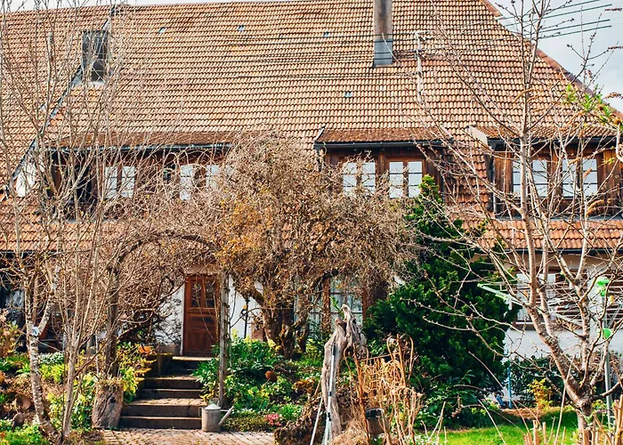 Appartamento Schweizerblick *