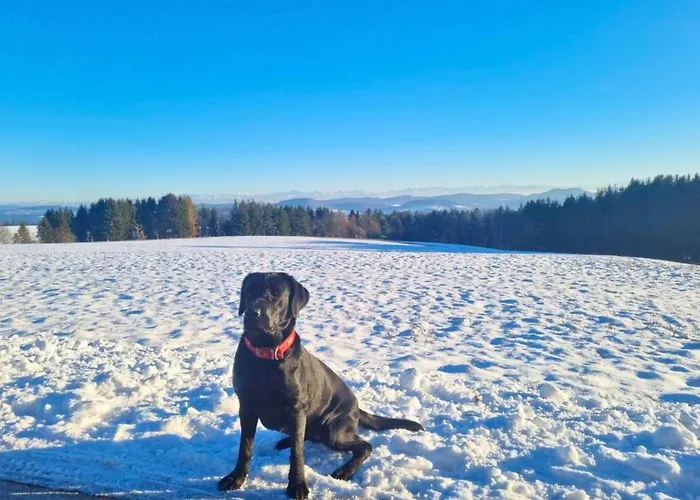 Schweizerblick * Hänner
