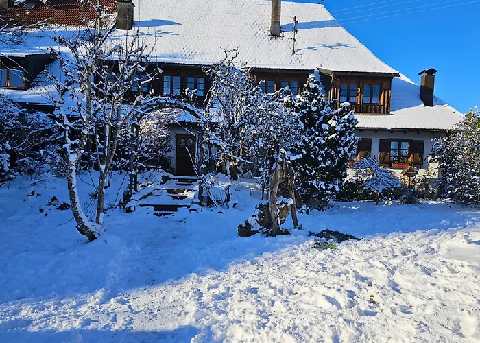 Schweizerblick Appartamento *